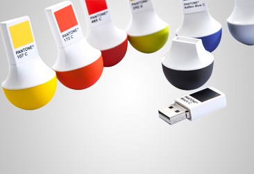 Promosyon USB Kartı